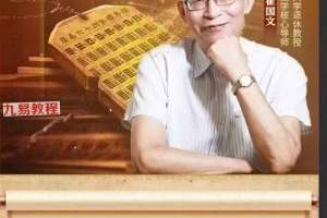 崔国文《综合提高班》10集视频 百度云下载！