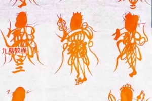 江南八仙符秘一宗课程视频11集+资料pdf 百度云下载！