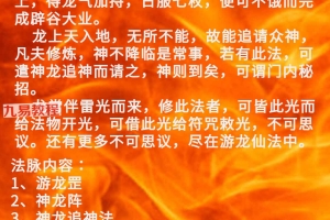 王道帧四海游龙法录屏一集视频 百度云下载！