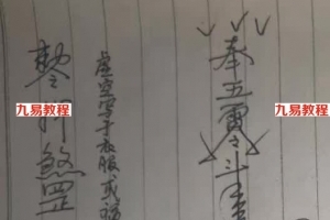清家门戊己土老师改运治煞，破官非倒霉阵法，放生解灾法，开运旺财法等。