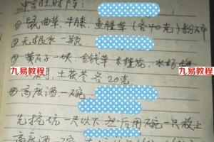 清家门戊己土老师讲解中宫旺财阵，录音22分钟，手写笔记两页。
