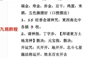 召龙神旺宅一有符 手诀 做法 附赠专门开光咒语 百度云