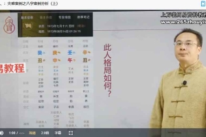 袁燊  命运规律学：灾难案例分析视频9集 百度云下载！