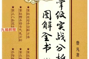 鲁凡手纹《掌纹实战分析图解全书》三册pdf 共818页 百度云下载！