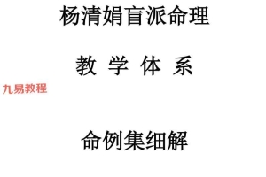 杨清娟-盲派八字命理《教学体系命例集细解》(高清版).pdf-245页 百度云下载！