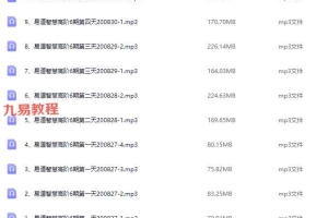 张琛平易道智慧高阶6期-课程音频 百度云下载！