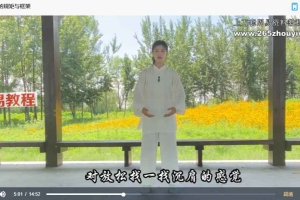 美女老师太极7套视频合集 古武传承功法 百度云下载！