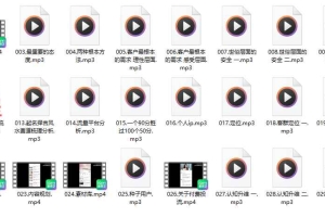 Y术数从业指导班录音+视频 百度云下载！
