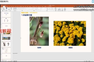 照明居士外应学初级课程视频10集 百度云下载！