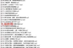 伏泓霖「网名伏羲后人」｜现代修行的第一堂课（修行初阶）录音 百度云下载！