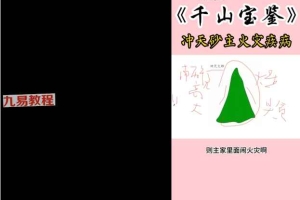 林来景千山宝鉴视频50集+课件pdf 百度云下载！