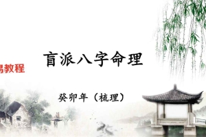 催老师催文举崔老师盲派八字笔记（5000元）.pdf 百度云下载！
