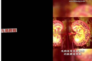 中华龙文化《龙道传承》视频15集 百度云下载！