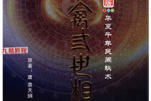 王咸炽-《纳音格局详解》+《演禽三世相法》pdf 两册 百度云下载！