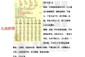 云易直播4个文档pdf 百度云下载！