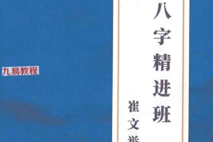 崔老师八字精进班.pdf 328页 百度云下载！