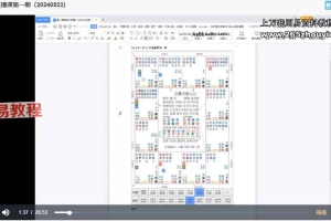 正琴Zoe紫微斗数全阶课程视频9集+录音70集 百度云下载！