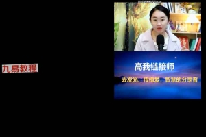 2025雅婕老师——链接高我系统课（陪伴营）11.28 视频14集+录音 百度云下载！