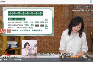 赵嘉敏《二十八袖里乾坤易学实战课》16集视频 百度云下载！
