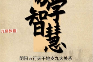 夏大师（青雲老师）易学智慧入门资料88页.pdf 百度云免费下载！