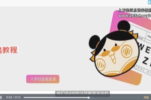 玄叨叨的蚊子说人话的八字命理课程视频13课 百度云下载！
