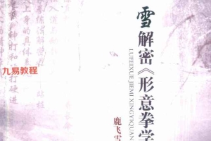 鹿飞雪解密形意拳学3册+孙禄堂《形意拳学》pdf 百度云下载！