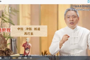 慈海卢国东 古法道医养生功法训练营视频14集 百度云下载！