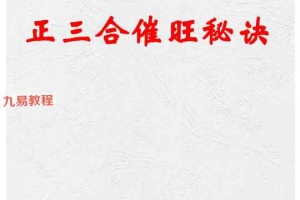 杨家成宇光真师-《正三合催旺秘诀秘籍绝无雷同》350页.pdf 百度云下载！