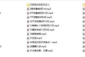 米鸿宾 大六壬金口诀：2009年国庆至2010年1月期间共90个小时录音 百度云下载！