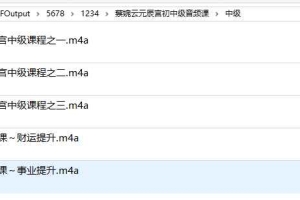 蔡婉云元辰宫初中级音频课 百度云下载！