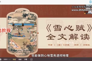 许联斌《雪心赋》解读33集视频 百度云下载！