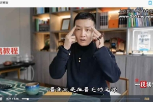 段静伟偉面相上停中停下停合集视频15集 百度云下载！