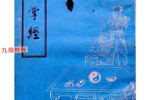 神机灵数一掌经秘传一掌经指南拨雾集200案例104页.pdf 百度云下载！