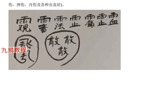 天医禁医术   文档pdf 11页 百度云下载！