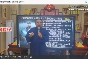 谷晟阳 《道家袖里乾坤预测术》进阶课程（3天3夜精品小班课）视频9集 百度云下载！