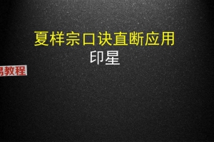 夏样宗 印枭绝.pdf 34页 百度云下载！