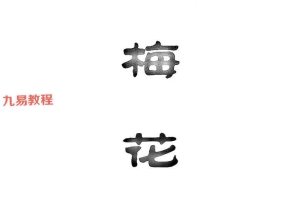 陈春林-转梅花pdf 75页 百度云下载！