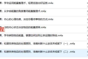 生命印记—F水能量整理术7集音频 百度云下载！