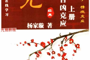 奇门吉凶克应上下册pdf 百度云下载！
