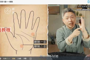 黄凯晟掌纹的秘密视频20集 百度云下载！