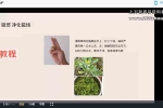 龙龙灵性防护两章视频11集 百度云下载！