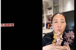 陈安逸水晶高阶课视频27集 百度云下载！