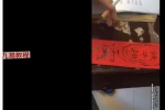 茅山铁牛防身术+九龙护身法 视频+课件 百度云下载！