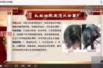 杨茜兰扶阳焕发术视频8集 百度云下载！