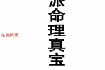 《盲派命理真宝》pdf 苏国圣 苏双圣合著 221页 百度云下载！