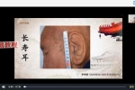 李秀娟面相学33集视频课 百度云下载！