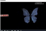 显化真爱冥想视频+录音 百度云下载！