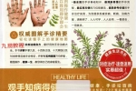樊红杰《手诊圣经》.pdf 321页 百度云免费下载！