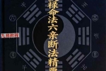 杨春波禄命法盲派六亲精断A4铜版封皮.pdf 268页 百度云下载！