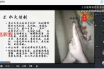 火龙真人气剑修炼法决！外用驱邪内敛成丹，“剑丹”线上直播课程 视频7集 百度云下载！